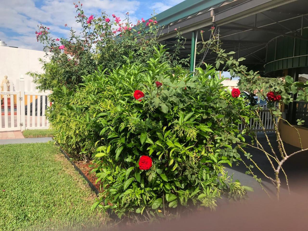 Bali Hai Motel Fort Lauderdale Dış mekan fotoğraf